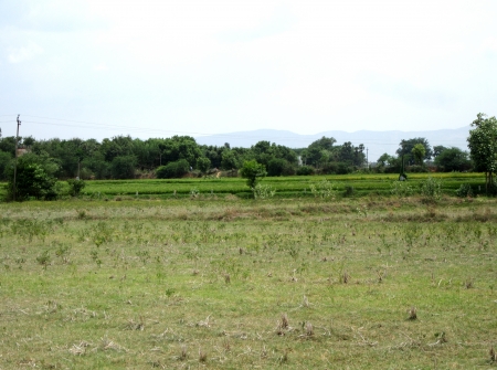 4) Li Id 225 - Pic 5.JPG